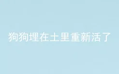 狗狗埋在土里重新活了