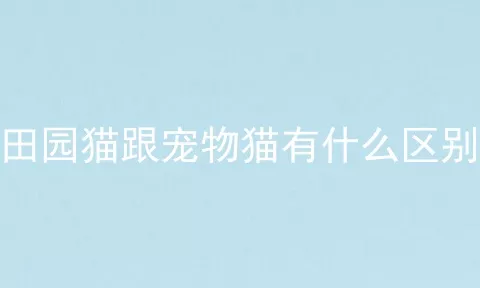 田园猫跟宠物猫有什么区别