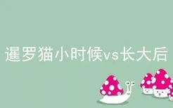 暹罗猫小时候vs长大后