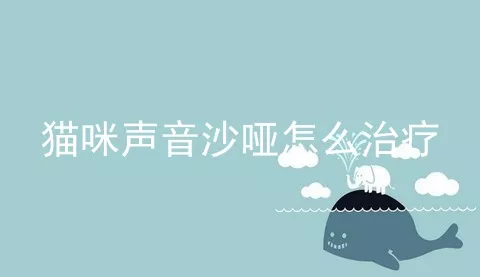 猫咪声音沙哑怎么治疗