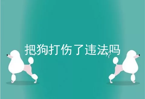 把狗打伤了违法吗