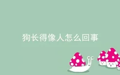 狗长得像人怎么回事