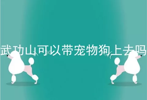 武功山可以带宠物狗上去吗