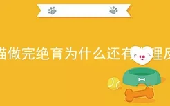 公猫做完绝育为什么还有生理反应