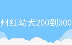 莱州红幼犬200到300元