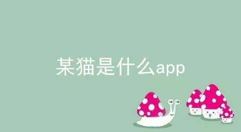 某猫是什么app