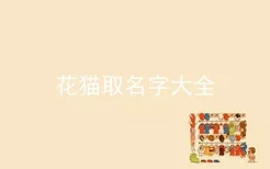 花猫取名字大全