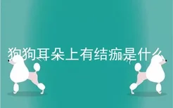 狗狗耳朵上有结痂是什么