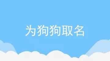 为狗狗取名