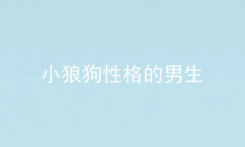 小狼狗性格的男生