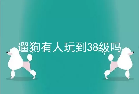 遛狗有人玩到38级吗