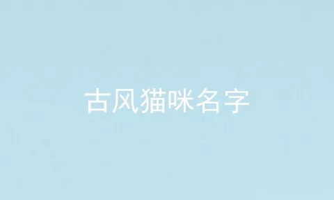 古风猫咪名字