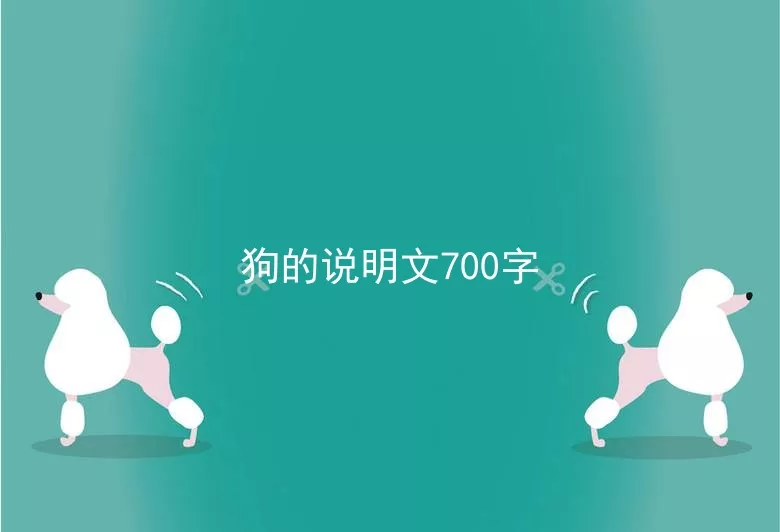 狗的说明文700字