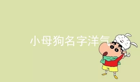 小母狗名字洋气