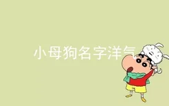 小母狗名字洋气