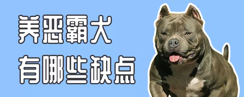 养恶霸犬有哪些缺点