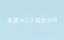 室温18℃小猫会冷吗