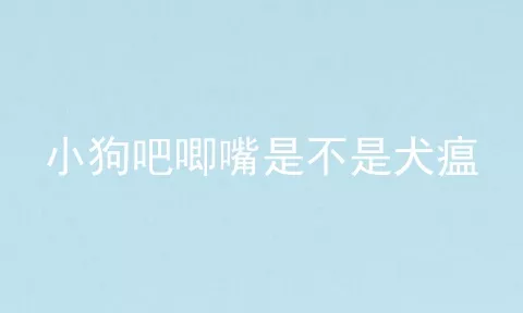 小狗吧唧嘴是不是犬瘟