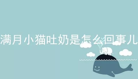 满月小猫吐奶是怎么回事儿