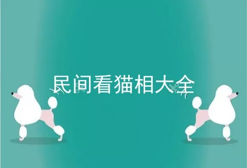 民间看猫相大全