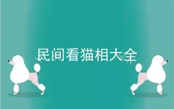 民间看猫相大全