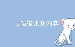 cfa猫比赛内容