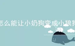 怎么能让小奶狗变成小狼狗