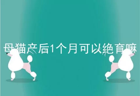 母猫产后1个月可以绝育嘛