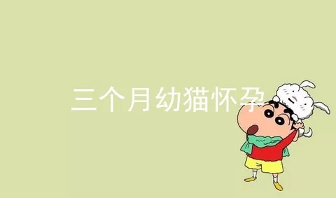 三个月幼猫怀孕