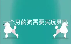 一个月的狗需要买玩具吗