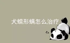 犬蠕形螨怎么治疗