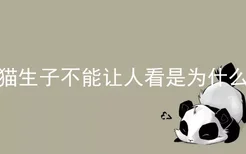 猫生子不能让人看是为什么