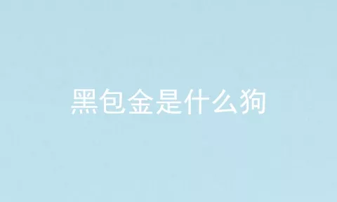 黑包金是什么狗