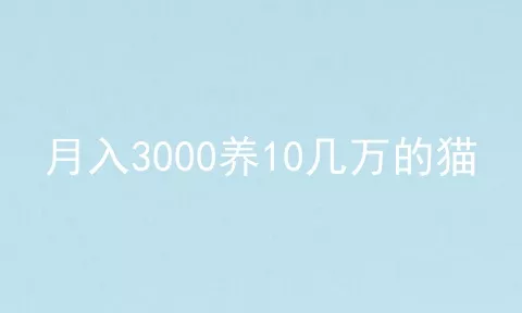 月入3000养10几万的猫