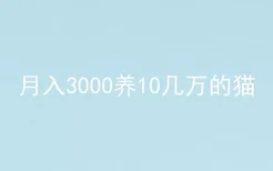 月入3000养10几万的猫