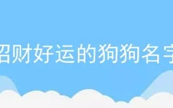 招财好运的狗狗名字