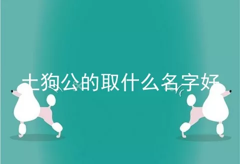 土狗公的取什么名字好