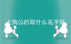 土狗公的取什么名字好