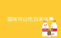 猫咪可以吃白米饭吗