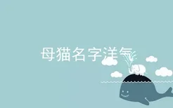 母猫名字洋气