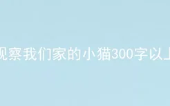 观察我们家的小猫300字以上