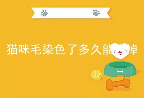 猫咪毛染色了多久能去掉