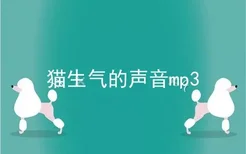 猫生气的声音mp3