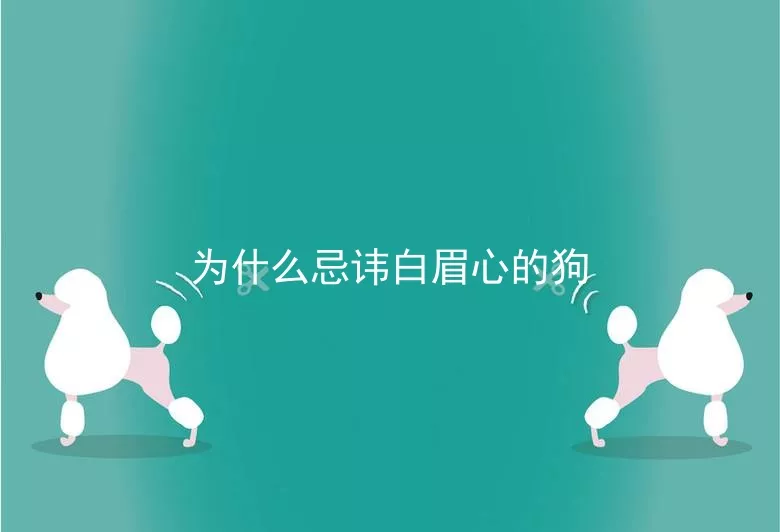 为什么忌讳白眉心的狗