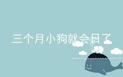 三个月小狗就会日了