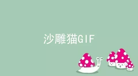 沙雕猫GIF