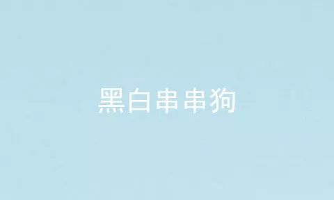 黑白串串狗