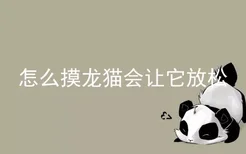 怎么摸龙猫会让它放松