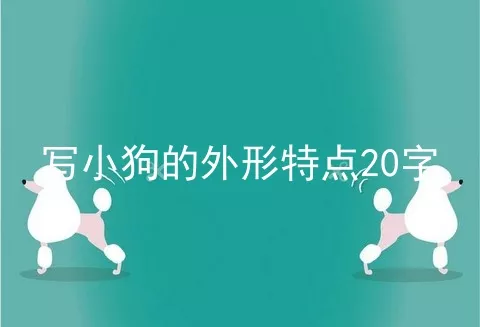 写小狗的外形特点20字