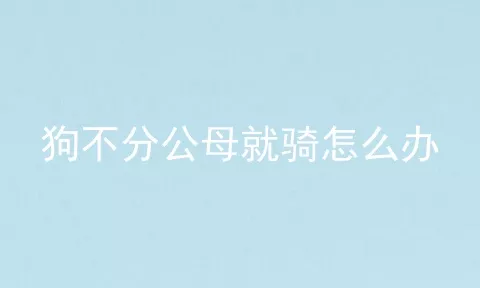 狗不分公母就骑怎么办